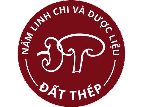 Chính sách giao hàng