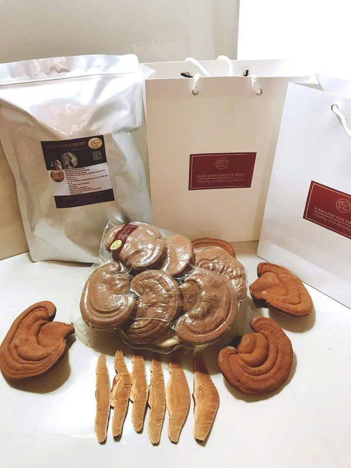 Linh Chi Đỏ giống Nhật nguyên tai 500g Linh Chi Đỏ giống Nhật nguyên tai 500g