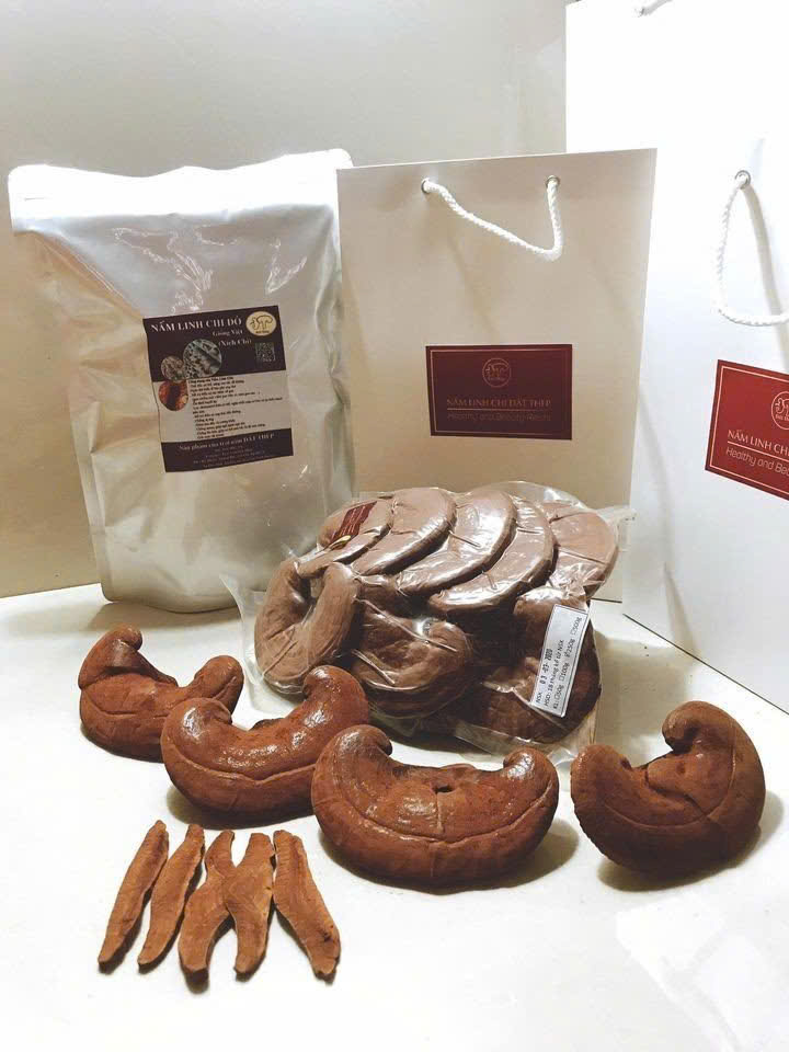 Nấm linh chi đỏ giống Việt nguyên tai 250g Nấm linh chi đỏ giống Việt nguyên tai 250g